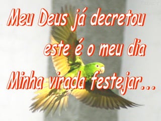 Eu vou viver uma virada