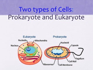 Two types of Cells: 
Prokaryote and Eukaryote 
 