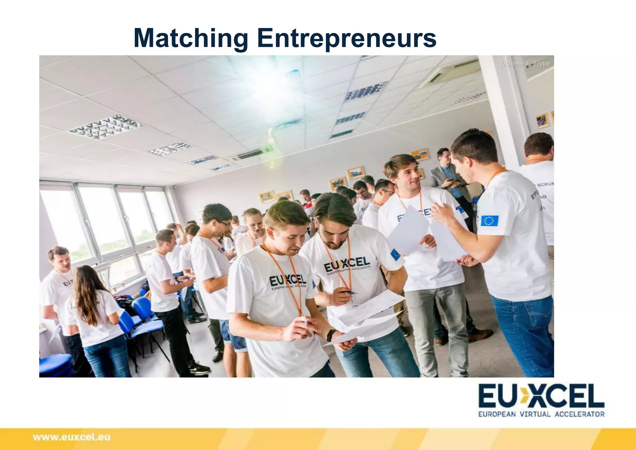 Matching Entrepreneurs