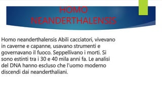 Homo neanderthalensis Abili cacciatori, vivevano
in caverne e capanne, usavano strumenti e
governavano il fuoco. Seppellivano i morti. Si
sono estinti tra i 30 e 40 mila anni fa. Le analisi
del DNA hanno escluso che l’uomo moderno
discendi dai neanderthaliani.
HOMO
NEANDERTHALENSIS
 