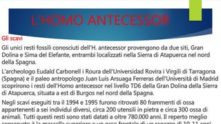L’HOMO ANTECESSOR
Gli scavi
Gli unici resti fossili conosciuti dell'H. antecessor provengono da due siti, Gran
Dolina e Sima del Elefante, entrambi localizzati nella Sierra di Atapuerca nel nord
della Spagna.
L'archeologo Eudald Carbonell i Roura dell'Universidad Rovira i Virgili di Tarragona
(Spagna) e il paleo antropologo Juan Luis Arsuaga Ferreras dell'Università di Madrid
scoprirono i resti dell'Homo antecessor nel livello TD6 della Gran Dolina della Sierra
di Atapuerca, situata a est di Burgos nel nord della Spagna.
Negli scavi eseguiti tra il 1994 e 1995 furono ritrovati 80 frammenti di ossa
appartenenti a sei individui diversi, circa 200 utensili in pietra e circa 300 ossa di
animali. Tutti questi resti sono stati datati a oltre 780.000 anni. Il reperto meglio
 