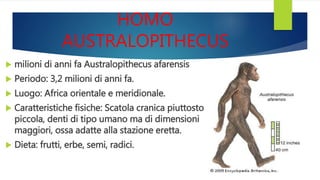 HOMO
AUSTRALOPITHECUS
 milioni di anni fa Australopithecus afarensis
 Periodo: 3,2 milioni di anni fa.
 Luogo: Africa orientale e meridionale.
 Caratteristiche fisiche: Scatola cranica piuttosto
piccola, denti di tipo umano ma di dimensioni
maggiori, ossa adatte alla stazione eretta.
 Dieta: frutti, erbe, semi, radici.
 
