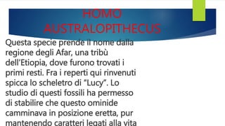 HOMO
AUSTRALOPITHECUS
Questa specie prende il nome dalla
regione degli Afar, una tribù
dell’Etiopia, dove furono trovati i
primi resti. Fra i reperti qui rinvenuti
spicca lo scheletro di “Lucy”. Lo
studio di questi fossili ha permesso
di stabilire che questo ominide
camminava in posizione eretta, pur
mantenendo caratteri legati alla vita
 