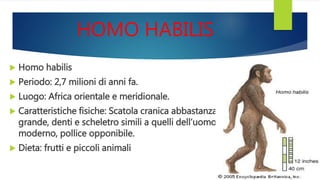 HOMO HABILIS
 Homo habilis
 Periodo: 2,7 milioni di anni fa.
 Luogo: Africa orientale e meridionale.
 Caratteristiche fisiche: Scatola cranica abbastanza
grande, denti e scheletro simili a quelli dell’uomo
moderno, pollice opponibile.
 Dieta: frutti e piccoli animali
 