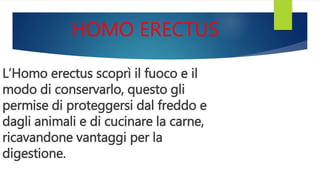 HOMO ERECTUS
L’Homo erectus scoprì il fuoco e il
modo di conservarlo, questo gli
permise di proteggersi dal freddo e
dagli animali e di cucinare la carne,
ricavandone vantaggi per la
digestione.
 