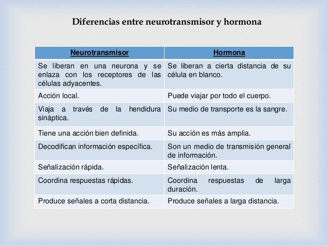 Diferencias Entre Hormonas Y Neurotransmisores | Porn Sex Picture