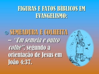 FIGURAS E FATOS BÍBLICOS EM
           EVANGELISMO:

®SEMEADURA E COLHEITA
– “Um semeia e outro
colhe”, segundo a
orientação de Jesus em
João 4:37.
 