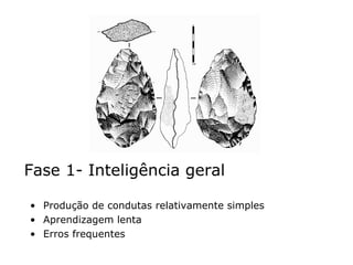 Fase 1- Inteligência geral Produção de condutas relativamente simples Aprendizagem lenta Erros frequentes 