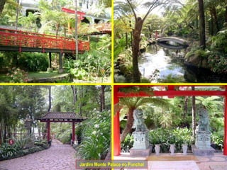 Jardim Monte Palace no Funchal 