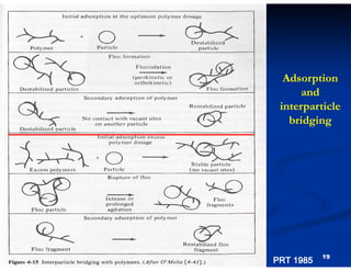 Adsorption
and
interparticle
bridging

PRT 1985

19

 