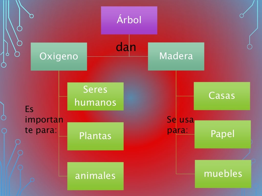 textos funcionales escolares
