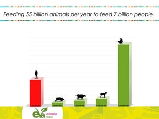 Feeding 55 billion animals per year to feed 7 billion people
 