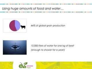 44% of global grain production
Using huge amounts of food and water…
15.000 liters of water for one kg of beef
(enough to shower for a year!)
 
