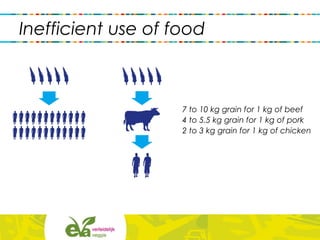 Inefficient use of food
7 to 10 kg grain for 1 kg of beef
4 to 5.5 kg grain for 1 kg of pork
2 to 3 kg grain for 1 kg of chicken
 