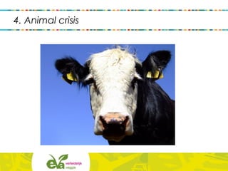 4. Animal crisis
 