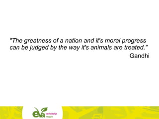 "The greatness of a nation and it's moral progress
can be judged by the way it's animals are treated.”
Gandhi
 