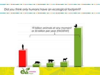 19 billion animals at any moment
or 55 billion per year (FAOSTAT)
Did you think only humans have an ecological footprint?
 