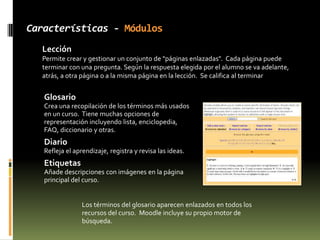 Permitir y crear las oportunidades para que todos puedan expresarse 