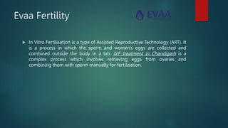 Evaa Fertility
 In Vitro Fertilisation is a type of Assisted Reproductive Technology (ART). It
is a process in which the sperm and women's eggs are collected and
combined outside the body in a lab. IVF treatment in Chandigarh is a
complex process which involves retrieving eggs from ovaries and
combining them with sperm manually for fertilisation.
 