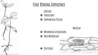 FIne DIning Experience
appetizers
❖ Predictions
❖ Experimental Design
Main Dish
❖ Mycorrhizal Associations
❖ Root Morpholo...