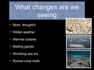 What changes are we
seeing
More drought's
Wilder weather
Warmer oceans
Melting glacier
Shrinking sea ice
Ruined coral reefs
 