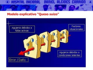 Modelo explicativo “Queso suizo”
 