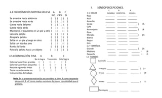 4.4 COORDINACIÓN MOTORA GRUESA A B C 
NO CASI SI 
Se arrastra hacia adelante ( ) ( ) ( ) 
Se arrastra hacia atrás ( ) ( ) ( ) 
Gatea hacia delante ( ) ( ) ( ) 
Gatea hacia atrás ( ) ( ) ( ) 
Mantiene el equilibrio en un pie y otro ( ) ( ) ( ) 
Lanza la pelota ( ) ( ) ( ) 
Atrapa la pelota ( ) ( ) ( ) 
Salta en un pie y luego en otro ( ) ( ) ( ) 
Salta con los dos pies ( ) ( ) ( ) 
Rueda la llanta ( ) ( ) ( ) 
Patea la pelota hacia un objeto ( ) ( ) ( ) 
4.5 COORDINACIÓN FINA A B C 
No lo logra Transición Si lo logra 
Colorea Superficies grandes ( ) ( ) ( ) 
Colorea Superficies pequeñas ( ) ( ) ( ) 
Recorta siguiendo líneas ( ) ( ) ( ) 
Toma correctamente sus ( ) ( ) ( ) 
Instrumentos de trabajo. 
Nota: En la presente evaluación se considera al nivel A como respuesta elemental, B y C como niveles sucesivos de mayor complejidad que el 
primero. 
I. SENSOPERCEPCIONES. 
C B A 
1.1 COLOR NOMBRA IDENTIFICA APAREA 
Rojo ________ ________ ________ 
Azul ________ ________ ________ 
Amarillo ________ ________ ________ 
Verde ________ ________ ________ ( ) A 
Café ________ ________ ________ 
Anaranjado ________ ________ ________ ( ) B 
Rosa ________ ________ ________ 
Morado ________ ________ ________ ( ) C 
Blanco ________ ________ ________ 
Negro ________ ________ ________ 
Gris ________ ________ ________ 
1.2 TAMAÑOS 
Grande _______ ________ ________ ( ) A 
Mediano _______ ________ _______ ( ) B 
Pequeño _______ ________ _______ ( ) C 
1.3 FORMAS 
Cuadrado ________ _________ ________ 
Triángulo _________ _________ ________ ( ) A 
Círculo _________ _________ _________ ( ) B 
Rombo _________ _________ _________ ( ) C 
Rectángulo ________ _________ _________  