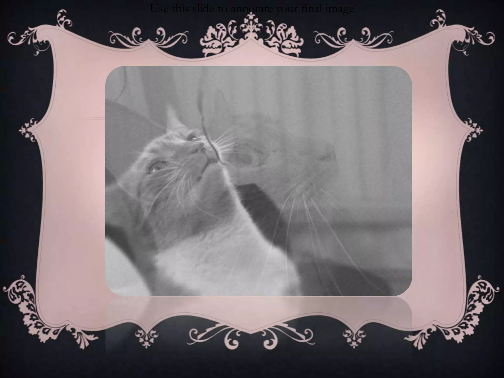 Use this slide to annotate your final image

 