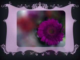 Use this slide to annotate your final image

 