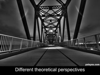 Different theoretical perspectives
 