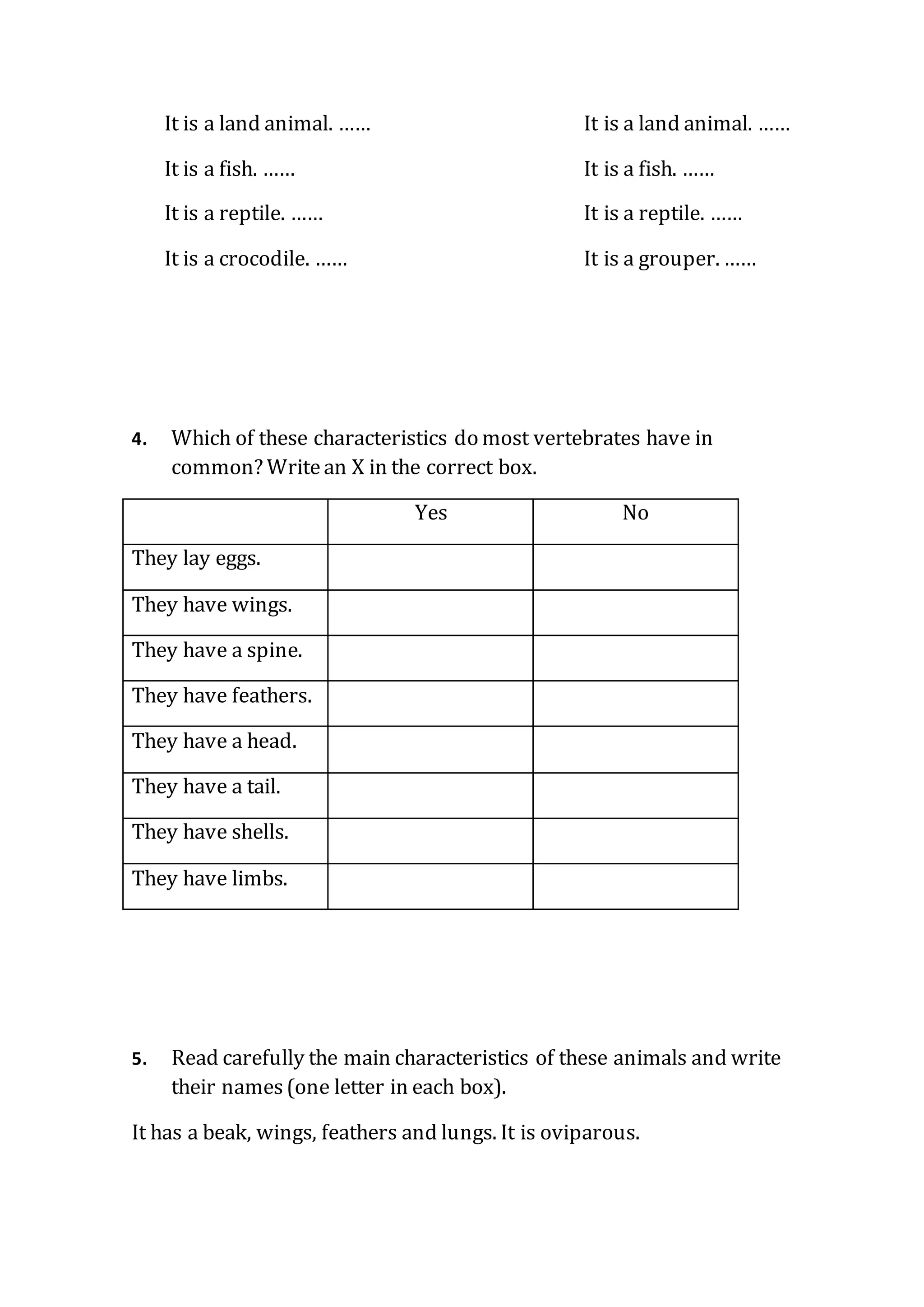 It is a land animal. …… It is a land animal. ……
It is a fish. …… It is a fish. ……
It is a reptile. …… It is a reptile. ……
It is a crocodile. …… It is a grouper. ……
4. Which of these characteristics do most vertebrates have in
common? Writean X in the correct box.
Yes No
They lay eggs.
They have wings.
They have a spine.
They have feathers.
They have a head.
They have a tail.
They have shells.
They have limbs.
5. Read carefully the main characteristics of these animals and write
their names(one letter in each box).
It has a beak, wings, feathers and lungs. It is oviparous.
 