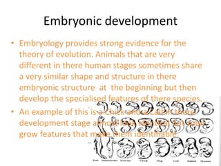 Evalation | PPTX | Genetics | Science
