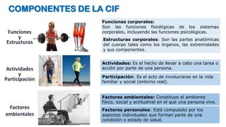 Evaluacion, examinacion y diagnostico fisioterapeutico | PDF