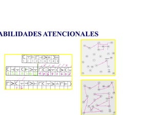 ABILIDADES ATENCIONALES
ABILIDADES ATENCIONALES
 