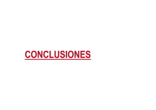 CONCLUSIONES
CONCLUSIONES
 