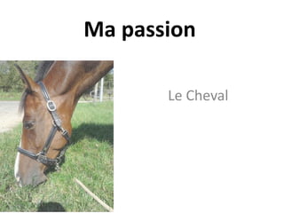 Ma passion

       Le Cheval
 