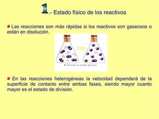 .- Estado físico de los reactivos
Las reacciones son más rápidas si los reactivos son gaseosos o
están en disolución.
M o l é c u l a s e n e s t a d o g a s e o s o
En las reacciones heterogéneas la velocidad dependerá de la
superficie de contacto entre ambas fases, siendo mayor cuanto
mayor es el estado de división.
 