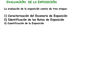 EVALUACIÓN DE LA EXPOSICIÓN

La evaluación de la exposición consta de tres etapas:

1) Caracterización del Escenario de Exposición
2) Identificación de las Rutas de Exposición
3) Cuantificación de la Exposición
 