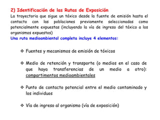 2) Identificación de las Rutas de Exposición
La trayectoria que sigue un tóxico desde la fuente de emisión hasta el
contacto con las poblaciones previamente seleccionadas como
potencialmente expuestas (incluyendo la vía de ingreso del tóxico a los
organismos expuestos)
Una ruta medioambiental completa incluye 4 elementos:


       Fuentes y mecanismos de emisión de tóxicos

       Medio de retención y transporte (o medios en el caso de
       que haya transferencias de un medio a otro):
       compartimentos medioambientales

       Punto de contacto potencial entre el medio contaminado y
       los individuos

       Vía de ingreso al organismo (vía de exposición)
 