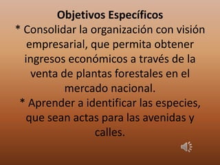Objetivos Específicos
* Consolidar la organización con visión
empresarial, que permita obtener
ingresos económicos a través de la
venta de plantas forestales en el
mercado nacional.
* Aprender a identificar las especies,
que sean actas para las avenidas y
calles.
 