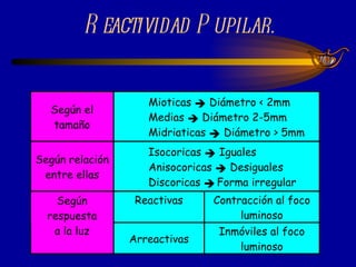 Reactividad Pupilar. 