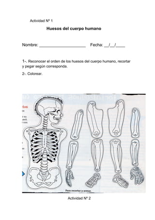 Actividad Nº 1

                Huesos del cuerpo humano


Nombre: ____________________              Fecha: __/__/____


1-. Reconocer el orden de los huesos del cuerpo humano, recortar
y pegar según corresponda.

2-. Colorear.




                             Actividad Nº 2
 
