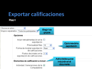 Paso 1 Opciones de la exportación Elegir los grupos Actividades que se incluirán en el documento 