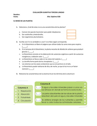 EVALUACIÓN SUMATIVA TERCERA UNIDAD
Nombre:
Fecha: Año: Séptimo EGB
EL REINO DE LAS PLANTAS
1. Selecciona: ¿Cuál de estas no es una característica de las plantas?
a. Carecen de aparato locomotor para poder desplazarse.
b. Son autótrofas y heterótrofas.
c. Son organismos pluricelulares.
2. Escribe una V si es verdadero o una F si es falso según corresponda.
a. En la fotosíntesis se libera el oxígeno que utilizan todos los seres vivos para respirar.
(_____)
b. En el proceso de la fotosíntesis, la planta necesita de dióxido de carbono para producir
glucosa. (_____)
c. La fotosíntesis consiste en la elaboración de sustancias orgánicas a partir de sustancias
inorgánicas y radiación solar. (_____)
d. La fotosíntesis se lleva a cabo en las raíces de la planta. (_____)
e. La clorofila forma parte de los cloroplastos. (_____)
f. Los estomas son los vasos conductores que se encuentran en el tallo.
g. La fotosíntesis puede realizarse de día y de noche, ya que la luz no es un factor
esencial. (_____)
3. Relaciona las características de la columna B con los términos de la columna A
 