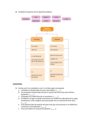 8. Completa el esquema con las siguientes palabras:
ECOSISTEMA
9. Escribe una V si es verdadero o una F si es falso según corresponda.
a. La biósfera es donde todos los seres vivos habitan. (_____)
b. Un ecosistema está formado solo por el conjunto de seres vivos que se llaman
biocenosis. (_____)
c. El biotopo es el medio físico de un ecosistema. (_____)
d. El hábitat es el lugar en donde se presentan las condiciones adecuadas de luz, agua,
temperatura, suelo y oxígeno, para que puedan vivir un conjunto de seres vivos.
(_____)
e. A los distintos tipos de especies de seres vivos que se encuentran en un hábitat los
conocemos como población. (_____)
f. Una comunidad es el conjunto de especies. (_____)
 