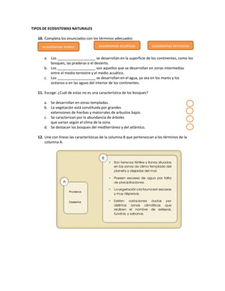 TIPOS DE ECOSISTEMAS NATURALES
10. Completa los enunciados con los términos adecuados
a. Los ___________________ se desarrollan en la superficie de los continentes, como los
bosques, las praderas o el desierto.
b. Los ___________________ son aquellos que se desarrollan en zonas intermedias
entre el medio terrestre y el medio acuático.
c. Los ___________________ se desarrollan en el agua, ya sea en los mares y los
océanos o en las aguas del interior de los continentes.
11. Escoge: ¿Cuál de estas no es una característica de los bosques?
a. Se desarrollan en zonas templadas.
b. La vegetación está constituida por grandes
extensiones de hierbas y matorrales de arbustos bajos.
c. Se caracterizan por la abundancia de árboles
que varían según el clima de la zona.
d. Se destacan los bosques del mediterráneo y del atlántico.
12. Une con líneas las características de la columna B que pertenezcan a los términos de la
columna A.
ecosistemas mixtos ecosistemas acuáticos ecosistemas terrestres
 
