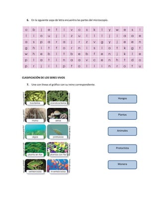 6. En la siguiente sopa de letra encuentra las partes del microscopio.
CLASIFICACIÓN DE LOS SERES VIVOS
7. Une con líneas el gráfico con su reino correspondiente.
Hongos
Plantas
Animales
Protoctista
Monera
 