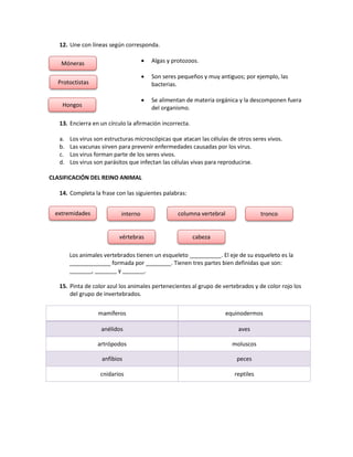 12. Une con líneas según corresponda.
 Algas y protozoos.
 Son seres pequeños y muy antiguos; por ejemplo, las
bacterias.
 Se alimentan de materia orgánica y la descomponen fuera
del organismo.
13. Encierra en un círculo la afirmación incorrecta.
a. Los virus son estructuras microscópicas que atacan las células de otros seres vivos.
b. Las vacunas sirven para prevenir enfermedades causadas por los virus.
c. Los virus forman parte de los seres vivos.
d. Los virus son parásitos que infectan las células vivas para reproducirse.
CLASIFICACIÓN DEL REINO ANIMAL
14. Completa la frase con las siguientes palabras:
Los animales vertebrados tienen un esqueleto __________. El eje de su esqueleto es la
_____________ formada por ________. Tienen tres partes bien definidas que son:
_______, _______ y _______.
15. Pinta de color azul los animales pertenecientes al grupo de vertebrados y de color rojo los
del grupo de invertebrados.
mamíferos equinodermos
anélidos aves
artrópodos moluscos
anfibios peces
cnidarios reptiles
Móneras
Protoctistas
Hongos
extremidades
vértebras cabeza
interno columna vertebral tronco
 