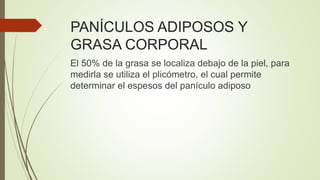PANÍCULOS ADIPOSOS Y
GRASA CORPORAL
El 50% de la grasa se localiza debajo de la piel, para
medirla se utiliza el plicómetro, el cual permite
determinar el espesos del panículo adiposo
 
