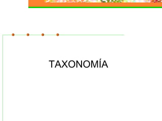 TAXONOMÍA
 